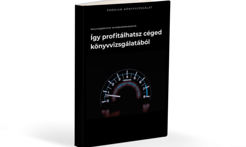 könyvvizsgálat